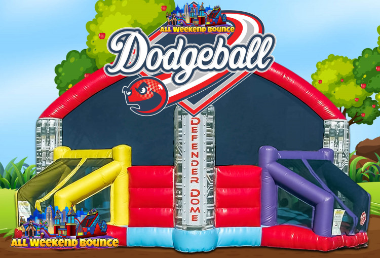Defender Dome 4 Player Dodge Ball