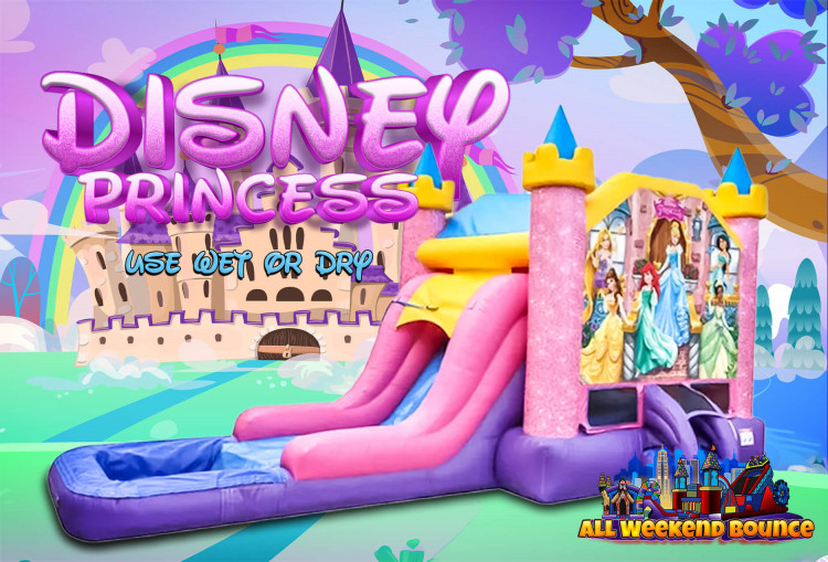 Disney Princess Deluxe Bounce and Slide
