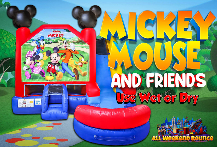Mickey Mouse & Friends XL Bounce & Slide
